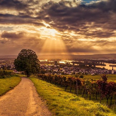 Ferienwohnung Reblaus Rüdesheim am Rhein Extérieur photo